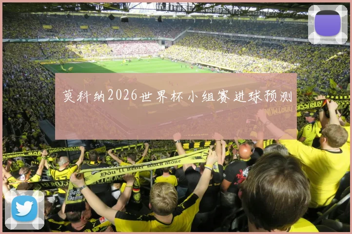 莫科纳2026世界杯小组赛进球预测