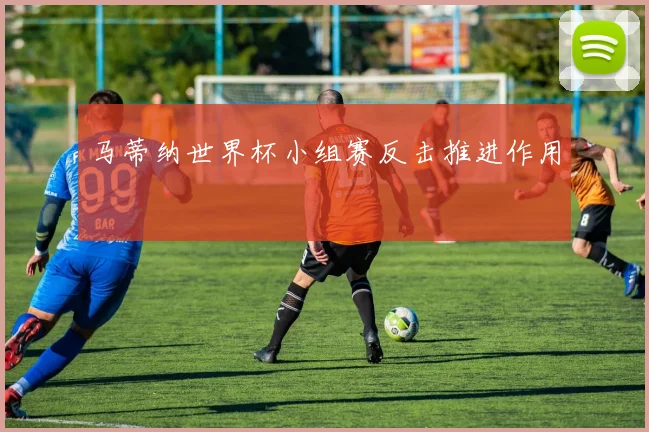 马蒂纳世界杯小组赛反击推进作用