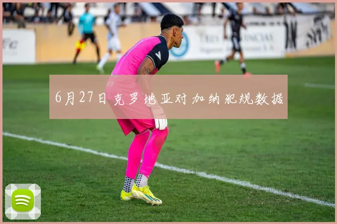 6月27日克罗地亚对加纳犯规数据