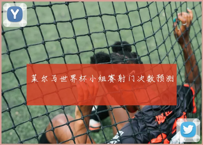 莱尔马世界杯小组赛射门次数预测