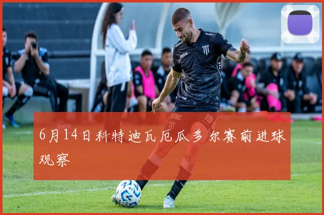 6月14日科特迪瓦厄瓜多尔赛前进球观察