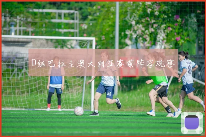 D组巴拉圭澳大利亚赛前阵容观察