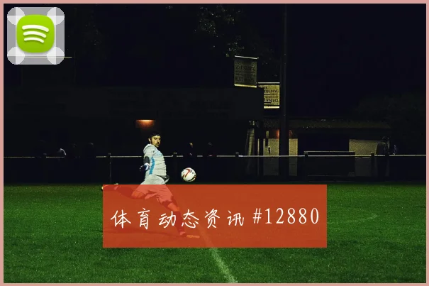 库卢塞夫斯基代表瑞典对阵日本队进攻权限看点