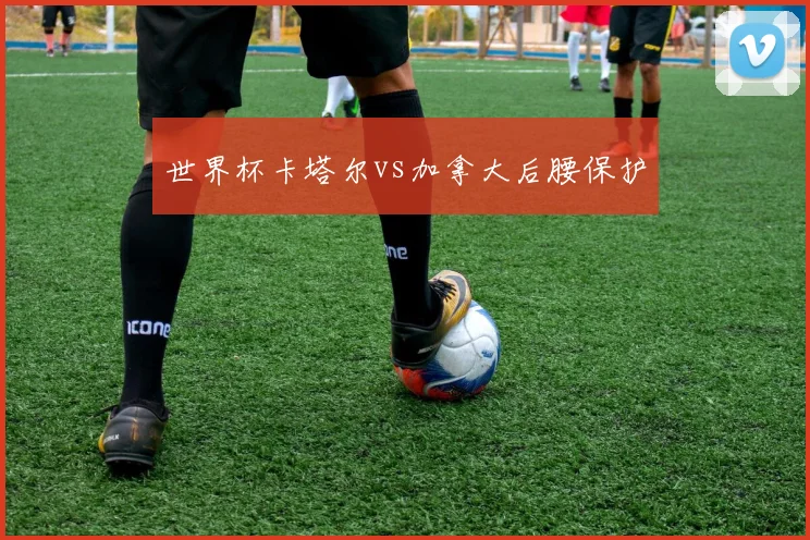 世界杯卡塔尔vs加拿大后腰保护
